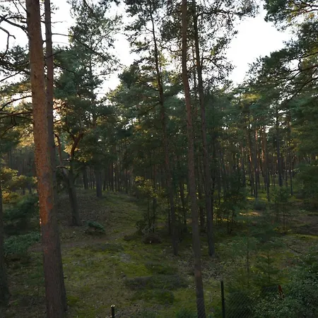 Domyletnie Dom 100m2 Z Dzialka I Balkonem Nyaraló *
