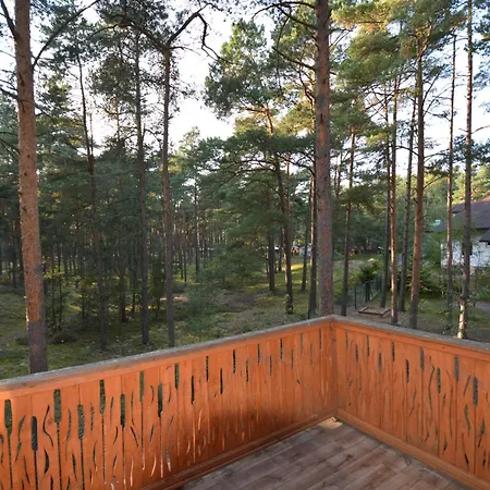 Domyletnie Dom 100m2 Z Dzialka I Balkonem *