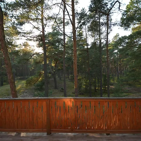 Domyletnie Dom 100m2 Z Dzialka I Balkonem