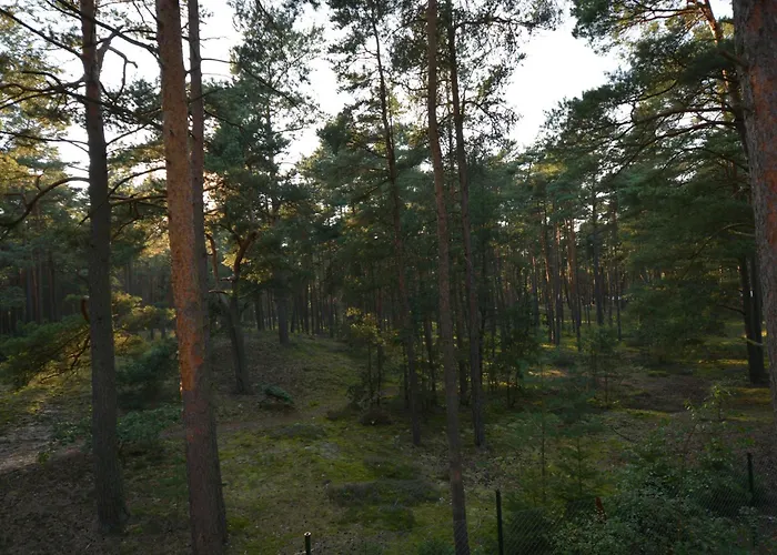 Domyletnie Dom 100m2 Z Dzialka I Balkonem Сasa de vacaciones *