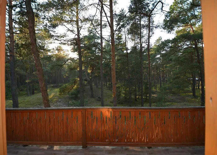 Domyletnie Dom 100m2 Z Dzialka I Balkonem