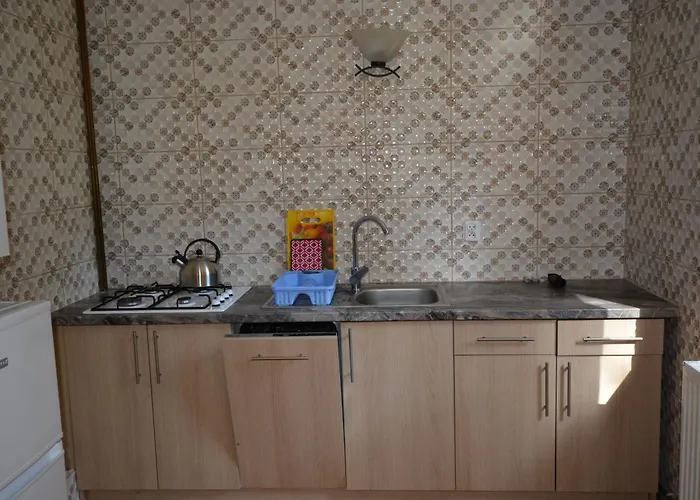 Domyletnie Dom 100m2 Z Dzialka I Balkonem *